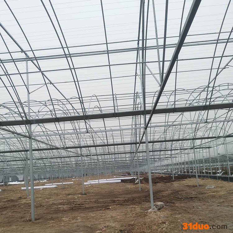 单体拱棚建造厂家 设计安装单体拱棚大棚 花卉大棚