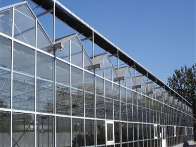 智能农业玻璃温室 花卉种植玻璃温室 生态阳光餐厅