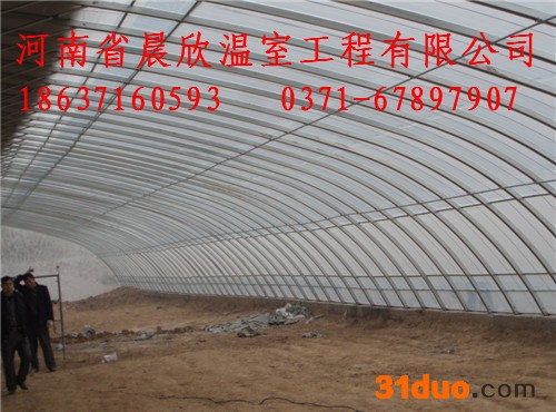 洛阳连栋花卉温室施工用材塑料大棚、玻璃温室、科研温室建造