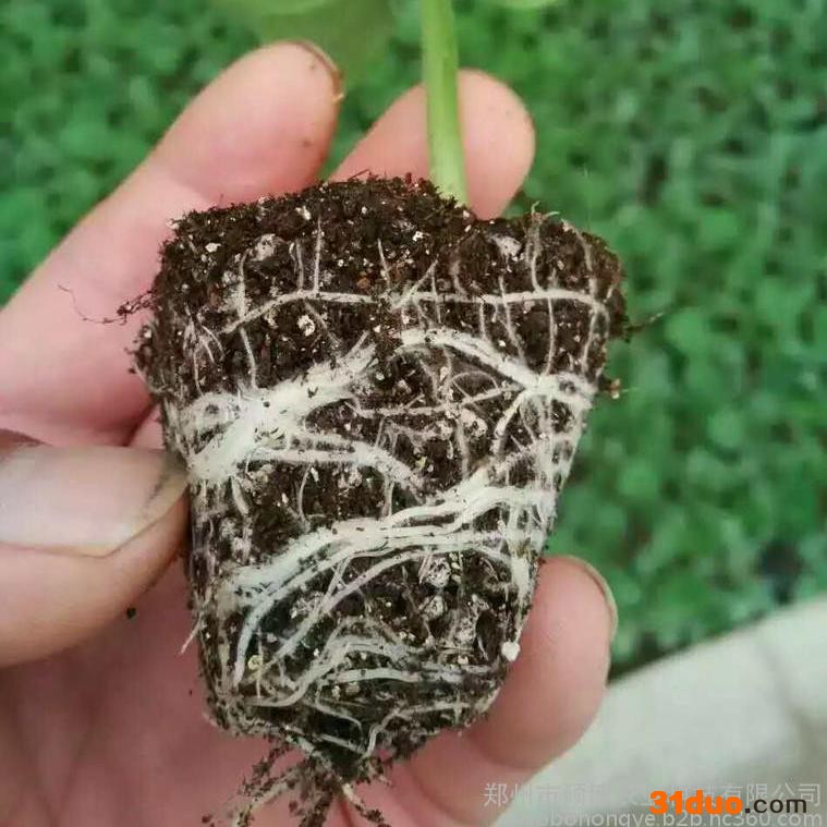 豫鹏 育苗基质  花卉基质 烟草基质