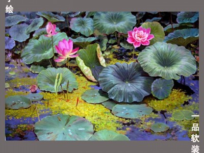 定制\n   现代中式田园风格花卉手绘油画玄关客厅书房荷花装饰画