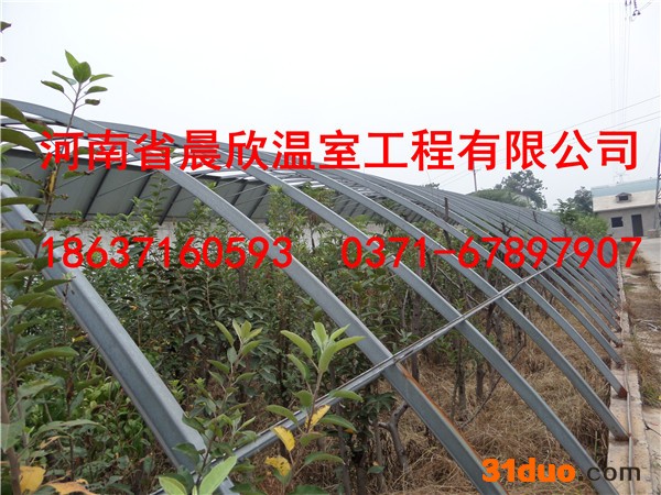 花卉大棚全钢架自动连栋智能温室大棚钢架蔬菜大棚工程造价