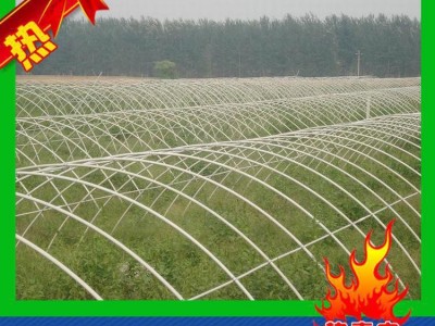 定做来南通大棚蔬菜钢管棚、单体棚、花卉大棚防虫大棚、