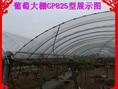 定做来南通大棚蔬菜钢管棚、单体棚、花卉大棚防虫大棚
