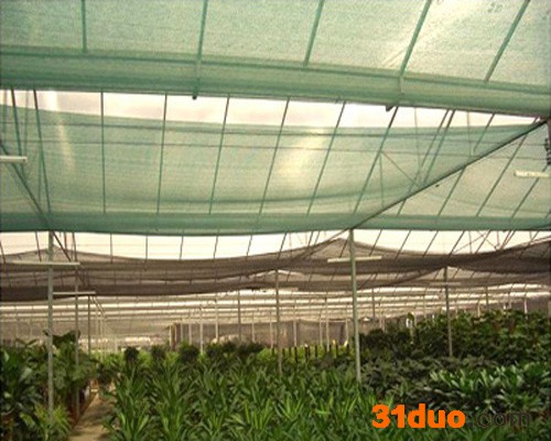 石斛遮阳网_花卉遮阳网厂家【金耀捷】