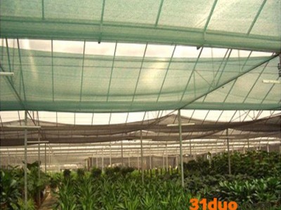 石斛遮阳网_花卉遮阳网厂家【金耀捷】