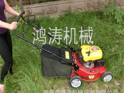 割草机分几种  草坪割草机招商