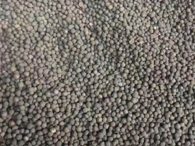 【蓝洋】徐州园林陶粒 建筑陶粒 招商