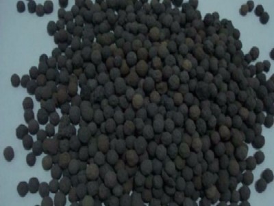 厂家供应 陶粒  鑫翔陶粒12高强度陶粒  预制构件陶粒厂家 污水处理陶粒 陶粒砂 ** 量大从优 招商加盟