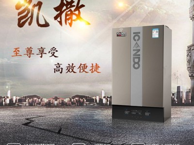爱客多凯撒K2系列32kW 燃气壁挂炉 招商加盟 进口配件商