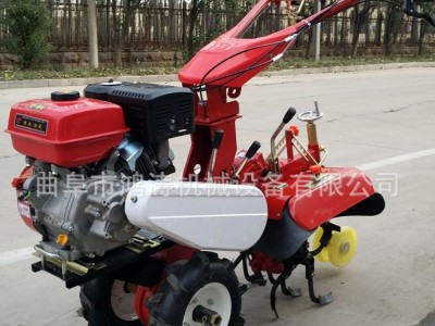 农用小型开沟机低门槛招商 大葱培根用开沟机 多用途田园管理机