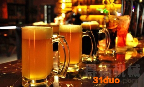 供应布劳恩3369 自酿啤酒机自酿葡萄酒机厂家全国招商