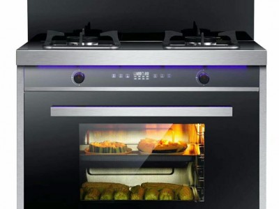 OPITT20 **集成灶厂家全国招商