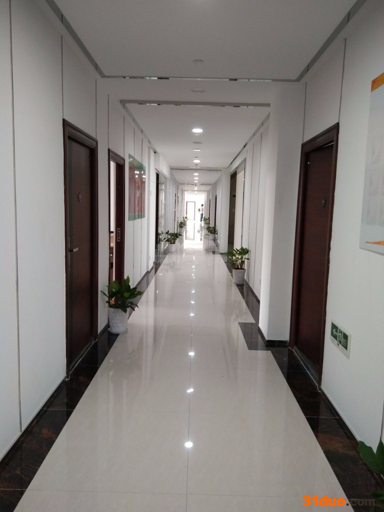 中国华凝现货招商招商招商