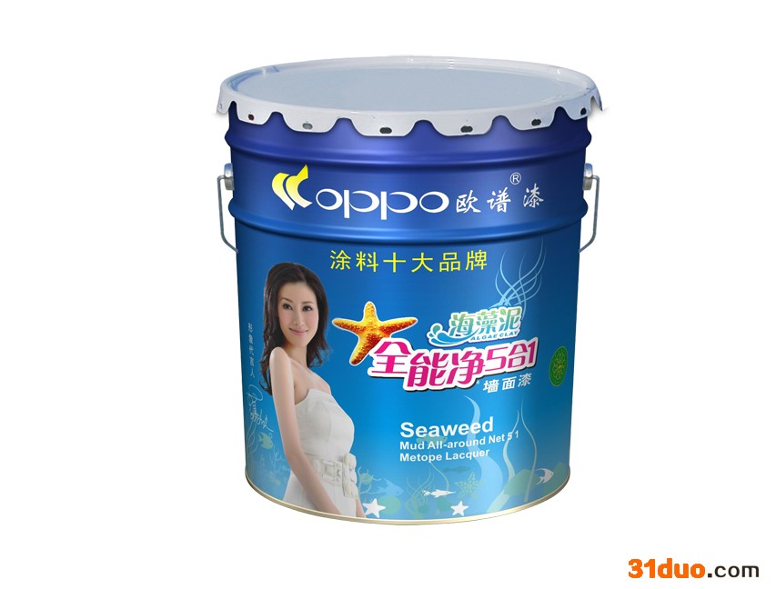 供应欧谱漆OP-10000硅藻泥专业抗墨水污渍环保墙面，涂料加盟招商