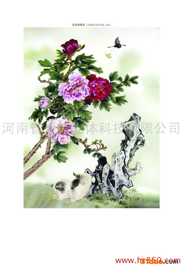 供应3D光栅板PS卓特立体光栅板招商