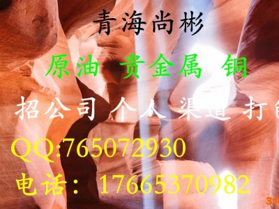 青海尚彬最火的现货平台招商