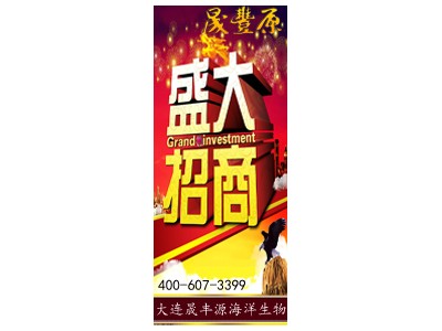 供应晟丰原sfyjshs001晟丰原海参 海参加盟招商 即食海