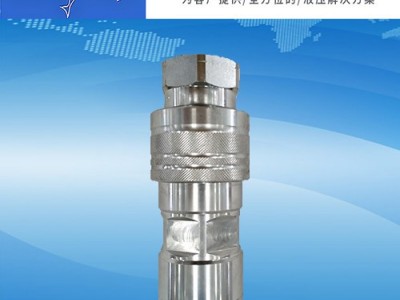 NEW SOLUTION PAV39M/F 快速接头