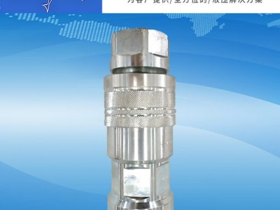 NEW SOLUTION  PAV50M/F 快速接头