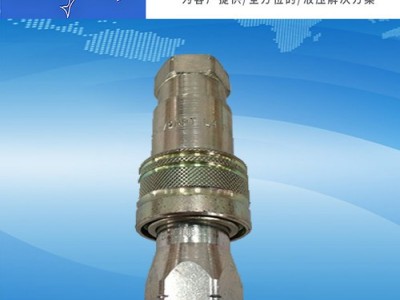 NEW SOLUTION  PAV13M 快速接头