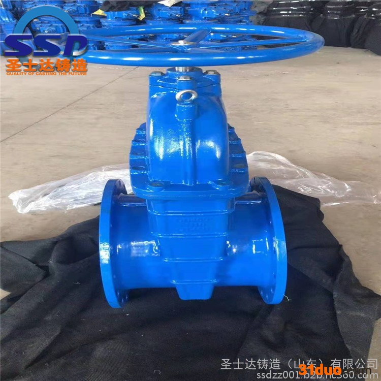 快速接头 Z45X软密封闸阀 伸缩节零售 圣士达铸造