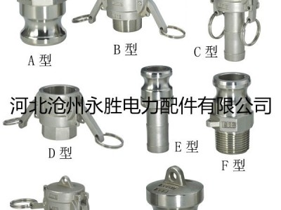 永胜1/2-10寸快速接头