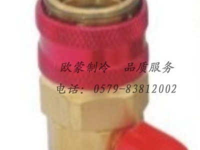 90度快速接头 QC-15A快速接头 汽车空调快速接头 R134A快速接头