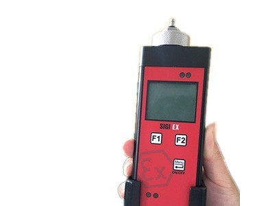 德国ESDERSSIGI 全量程手持燃气管道泄漏检测仪