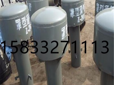 宏实200-600现货供应Z-200罩型通气管 定做各种规格型号罩型通气管 通气帽