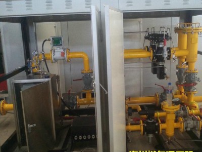 低压调压器 燃气设备减压阀 燃气管道调压器 安全阀