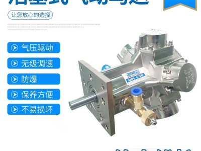 供应加斯顿AMP5防爆气动马达活塞式 无级变速高功率气动马达 **