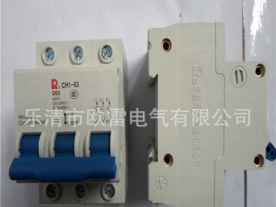 直销 常熟CH1L-32/2P断路器漏电保护器空气开关
