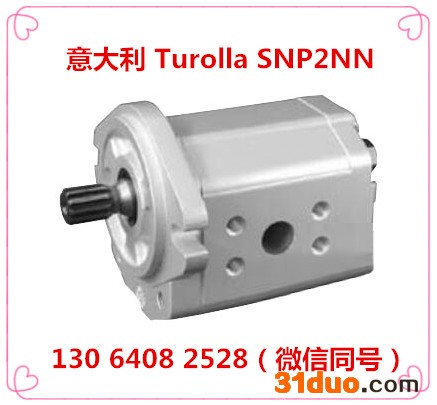 111.25.004.OA TUROLLA齿轮泵 意大利turolla萨奥丹佛斯齿轮泵 济南骏荣液压原装进口齿轮泵