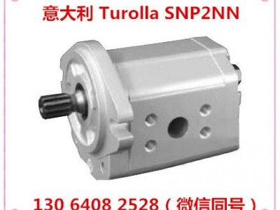 111.25.004.OA TUROLLA齿轮泵 意大利turolla萨奥丹佛斯齿轮泵 济南骏荣液压原装进口齿轮泵
