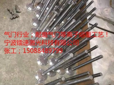 Danfoss/丹佛斯阀体