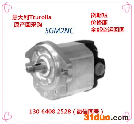 萨奥液压泵丹佛斯齿轮泵turolla齿轮泵意大利原装进口齿轮泵济南骏荣液压