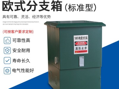 昆季**10KV/24KV欧式电缆分支箱/分接箱/户外开闭所/欧式电缆插拔头/欧式对接套管/壳体+成套