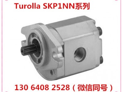 意大利turolla齿轮泵111.12.031.OC萨奥丹佛斯齿轮泵济南骏荣液压原装进口齿轮泵