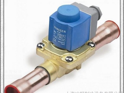 鸿森牌电磁阀 EVR3-3冷库电磁阀10mm 3/8丝接/焊口 仿丹佛斯型