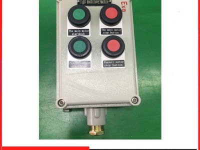 粉尘防爆电表箱 防爆检修箱