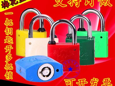 厂家特价电表箱锁梅花塑钢锁通开物业多种颜色挂锁厂家