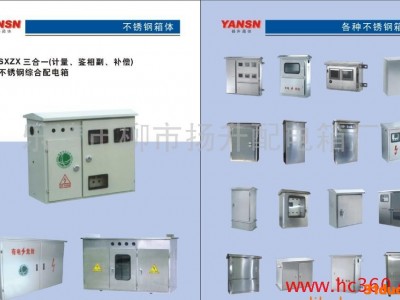 供应扬升各种不锈钢电表箱