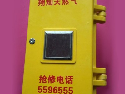 电表箱 玻璃钢表箱 室外防水玻璃钢表箱 SMC燃气表箱