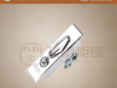 MS505-2计量电表箱门锁,锌合金计量锁 平面计量锁 封签