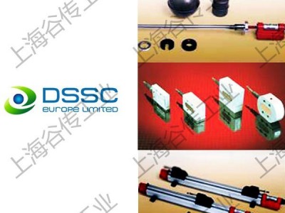 意大利 DS EUROPE 进口传感器 压力传感器 加速度计