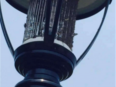 赛亚斯SYC-SC4 太阳能庭院式照明杀虫一体灯