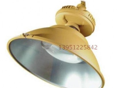 森本防爆SBF6110免维护节能防水防尘防腐工厂灯 防爆照明灯 工业照明灯 150W-300W防爆工矿灯厂家值销价