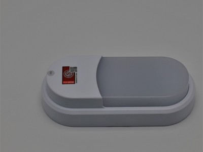 中消智联椭圆型壁灯3W 智能 智能应急照明