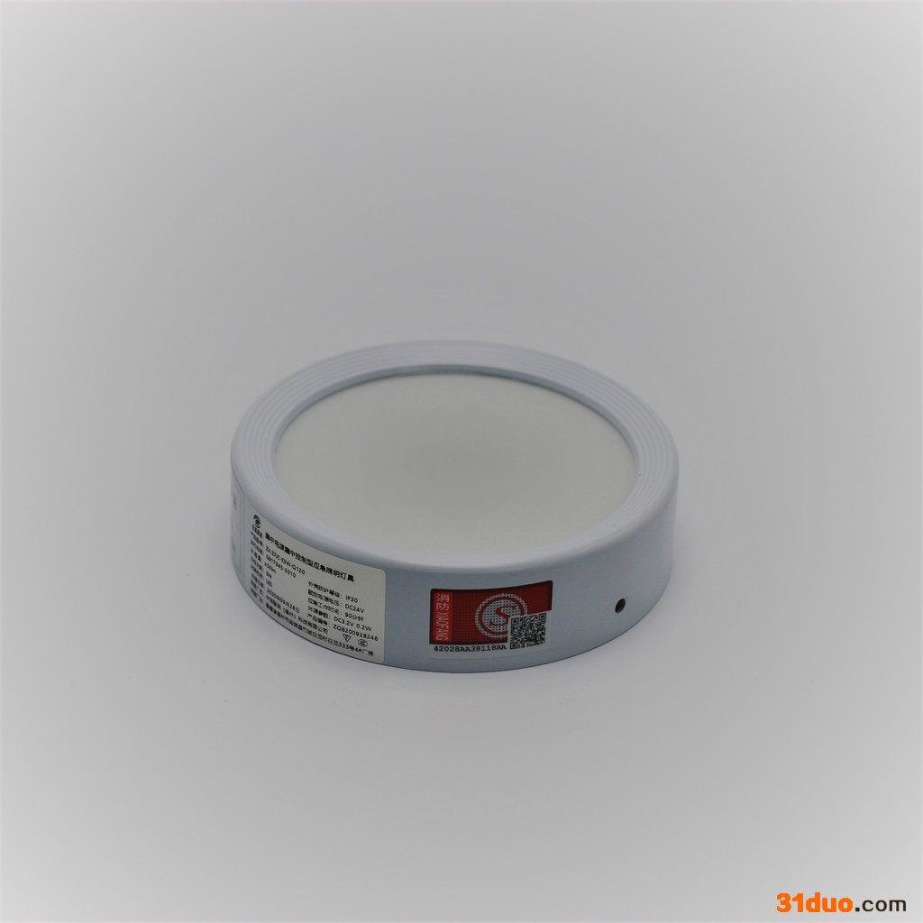 中消智联ZX-ZFJC-E3W-Q120 应急照明灯